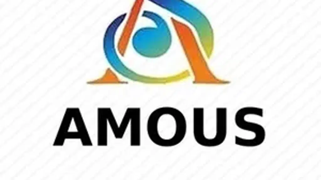 Amous Fashion
