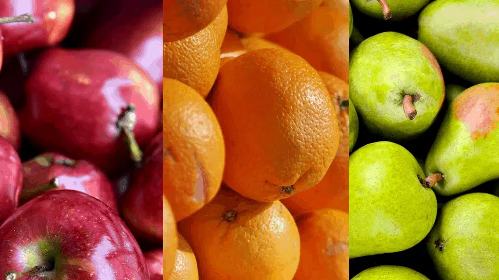 CA Cold Store for Apples - Chandigarh