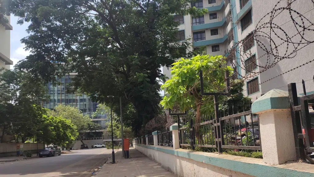 Wadhwa the Capital