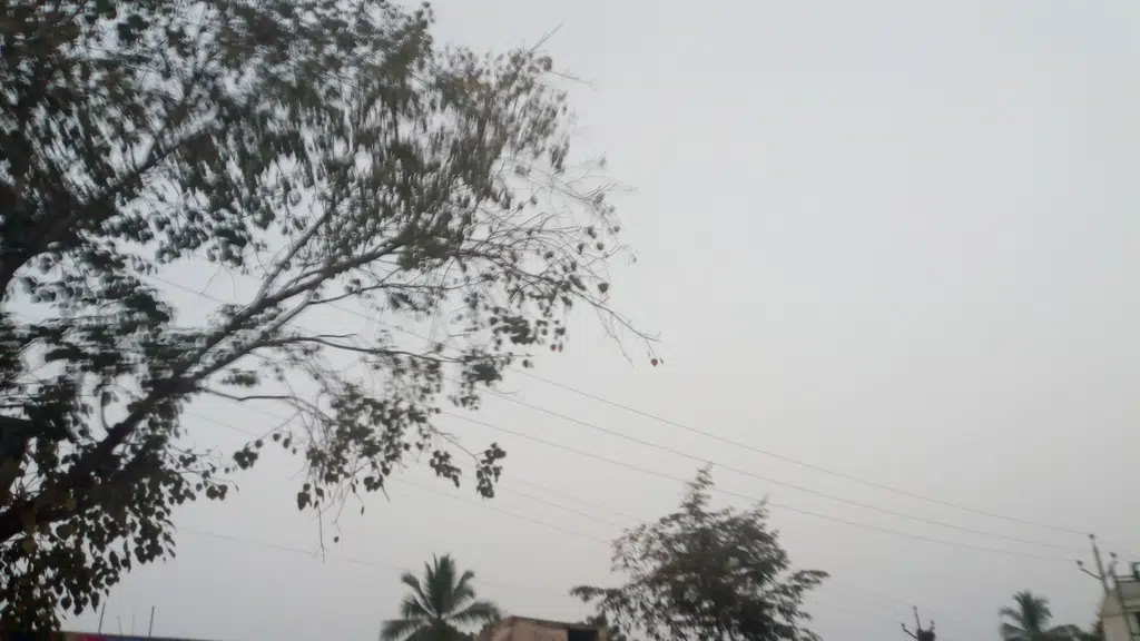 Janaki Silks