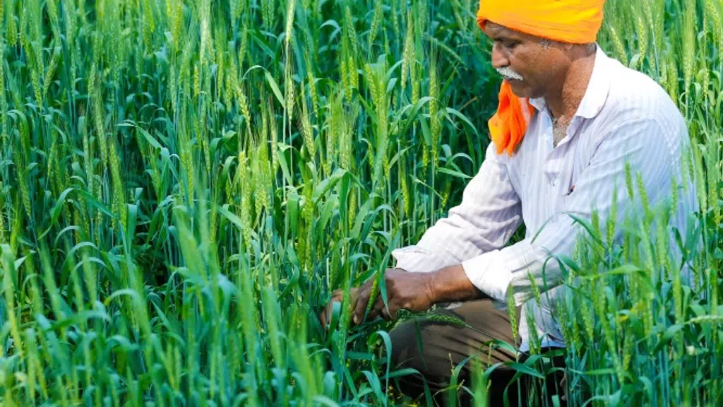 CLRK Industries PVT. LTD.