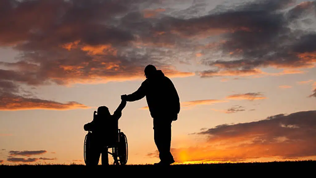 Dr. Hakim's Paralysis and Pain Clinic