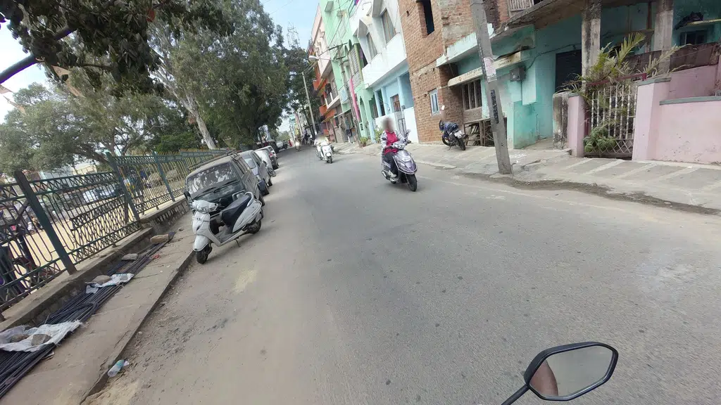 Dog Bazar