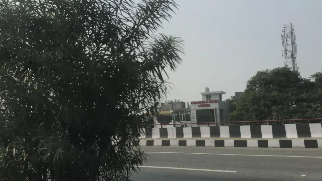 SV immigration group Meerut