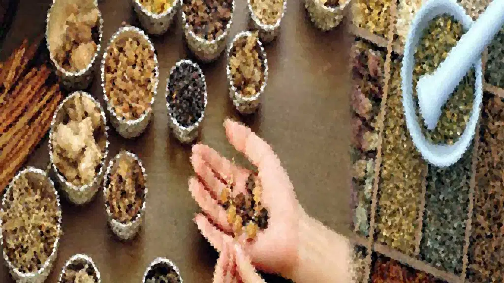 Computer Aided Ayurvedic Clinic