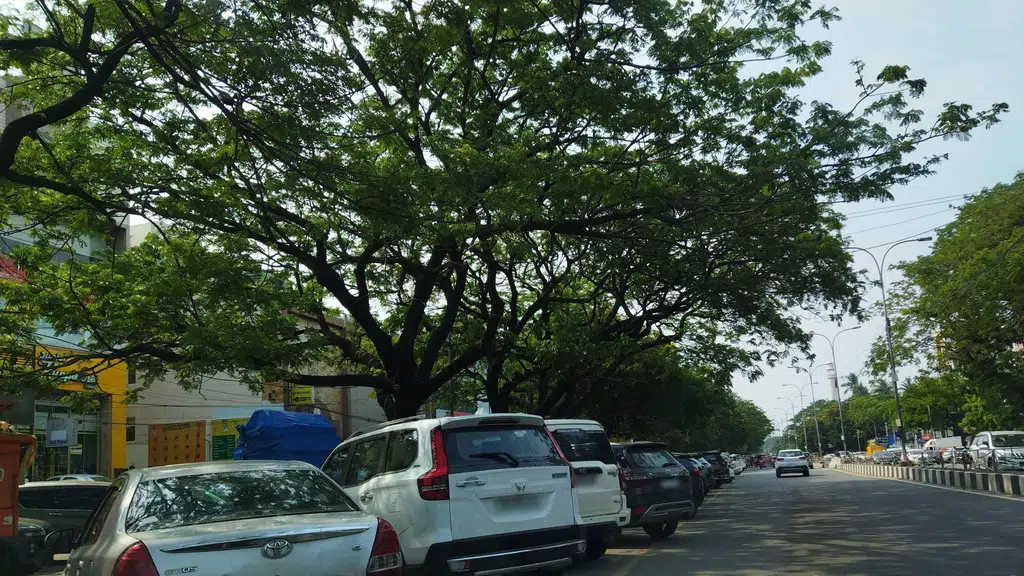 Chennai Corporation Health Care Centre