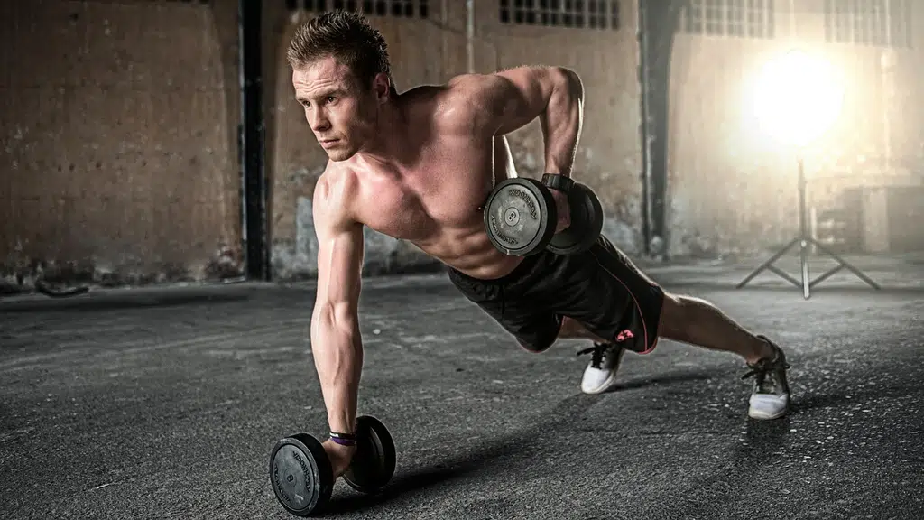 Chain Fitness