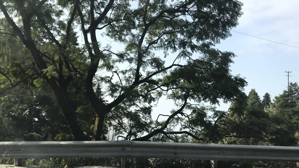 Mussoorie Jheel