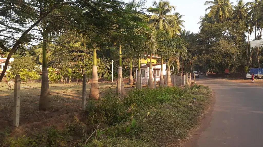 Maharshi Karve Stree Shikshan Samstha