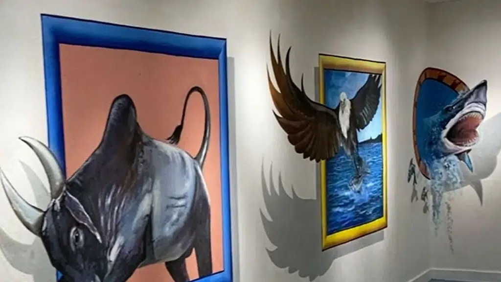India Seashell Museum