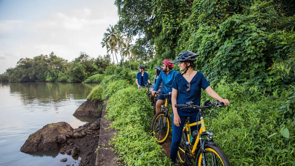 BLive Electric Bike/Cycle Tours