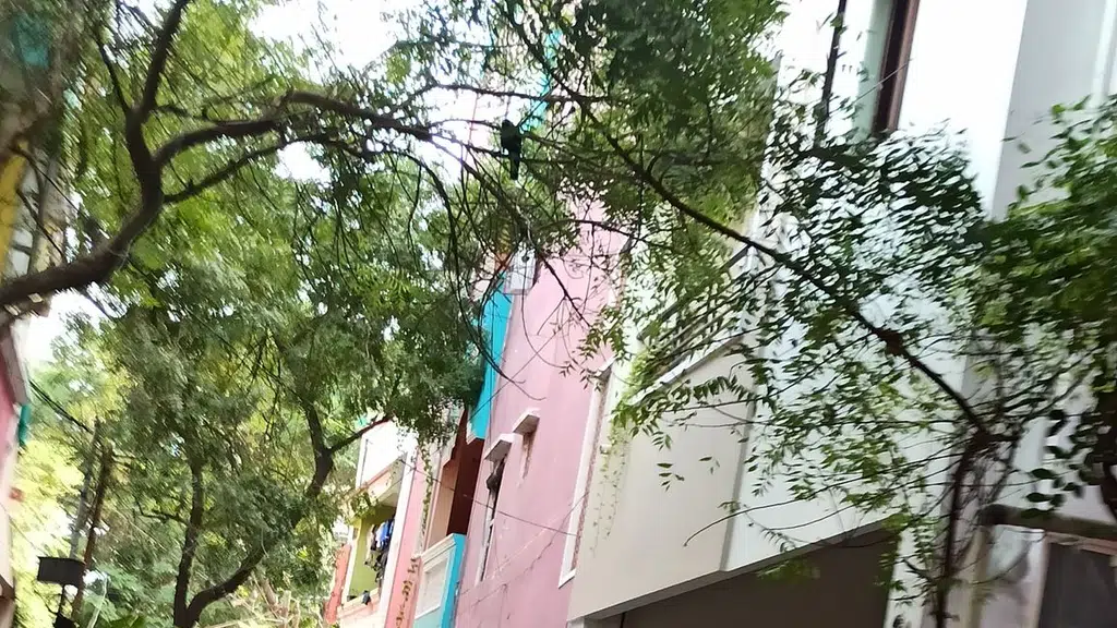 Viswapriya Academy