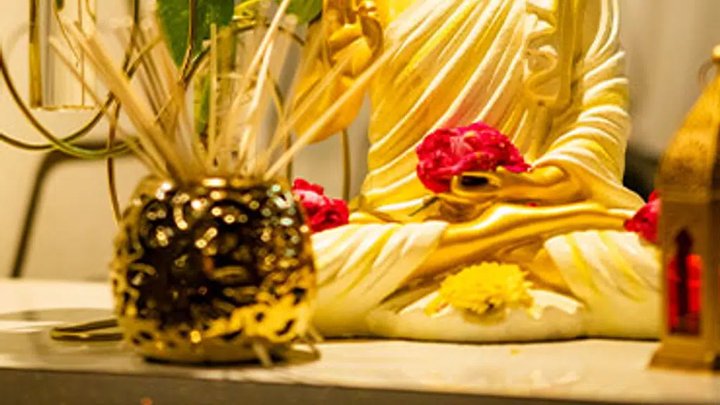 Asiatic Spa and Wellness