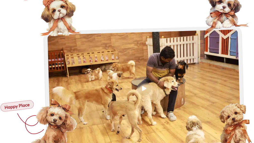Venu's Pet Care
