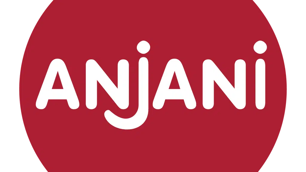 Anjani Synthetics Limited