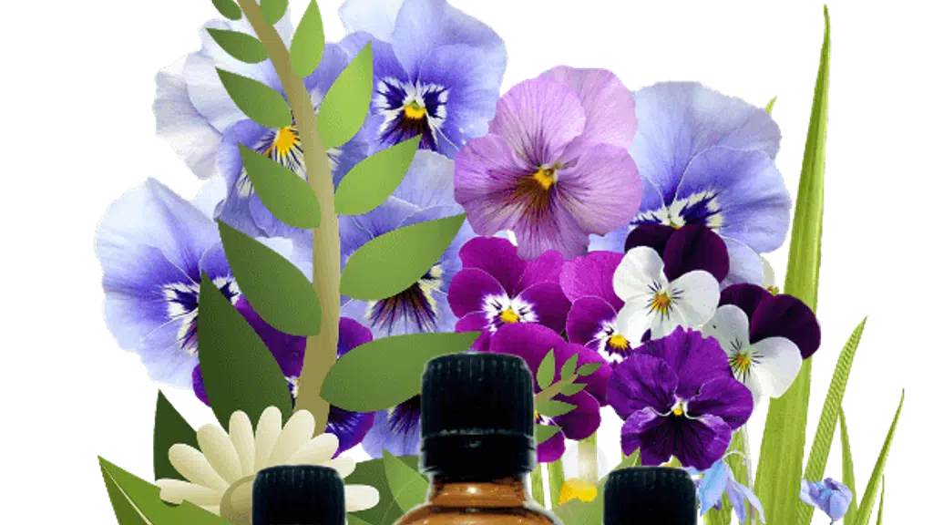 Allbizmart Essential Oils