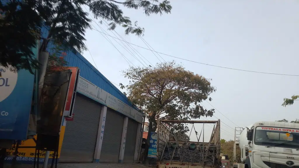 Plywood Traders