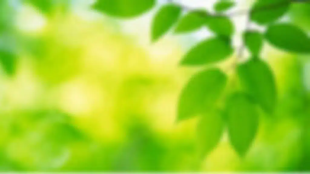 Dirghayush Ayurvedic and Panchakarma Clinic