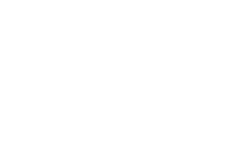 BASS Entertainment co