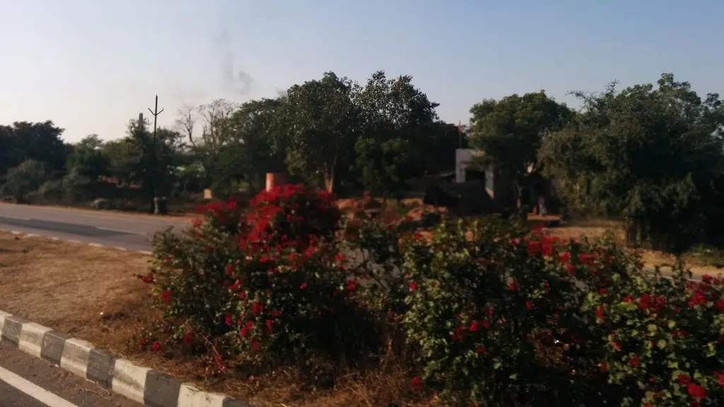 महेश स्कूल बेरी