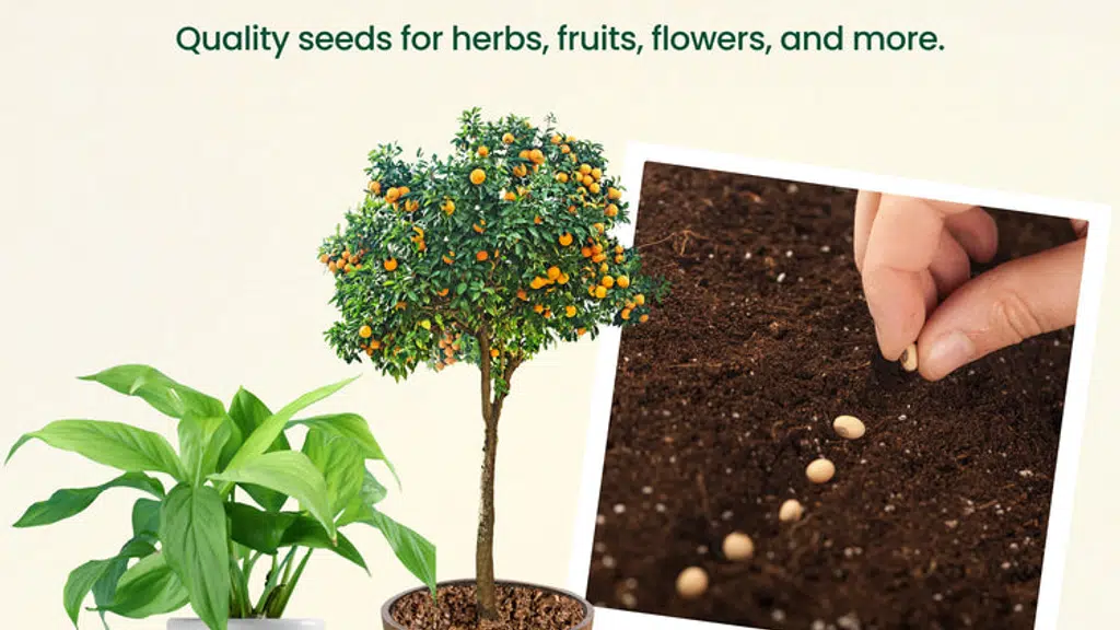 Plantsgram