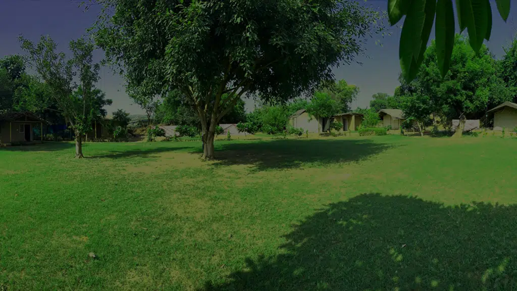 THE DNA CAMP - Damdama Lake Sohna