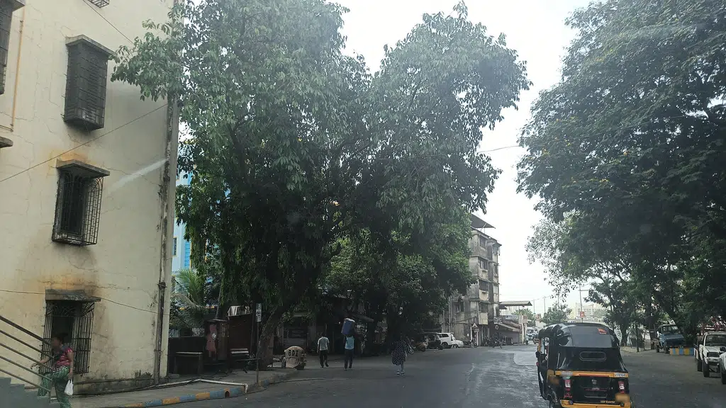 Shree Raghunath Palace