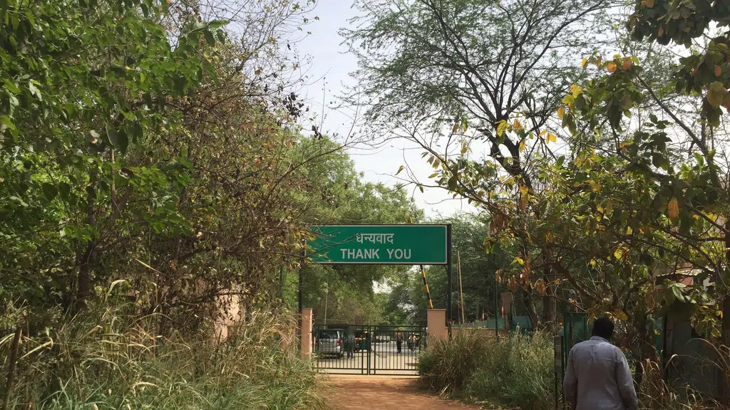 Arvali Biodiversity Park-Vasant Vihar