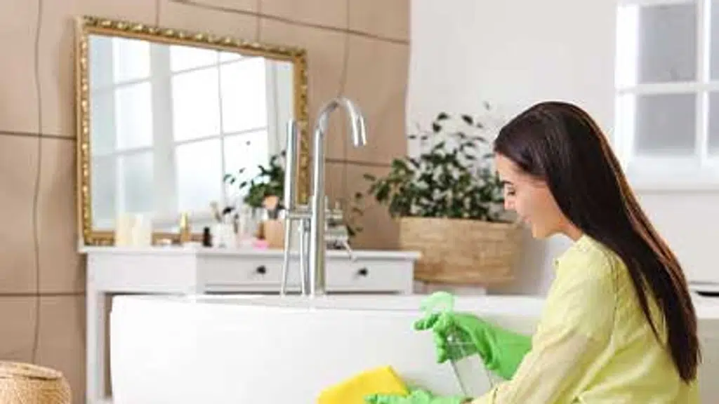 BK Home Cleaning Services