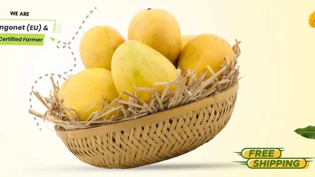 Alphonso Mangoes Online