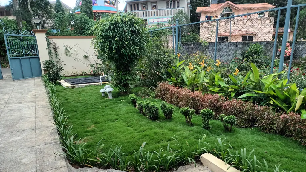 Thaavaram Botanicaal Boutique
