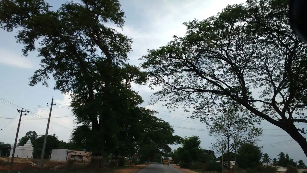 Nivedhita Primary School