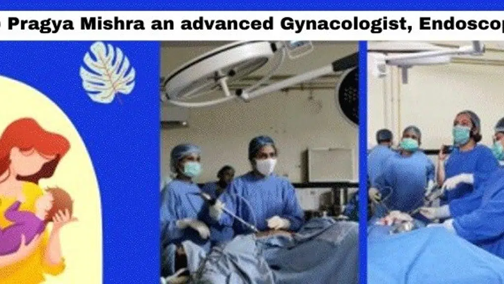 Dr Pragya Mishra, Obstetrician and Gynaecologist, Gynae endoscopy surgeon, Infertility Specialist