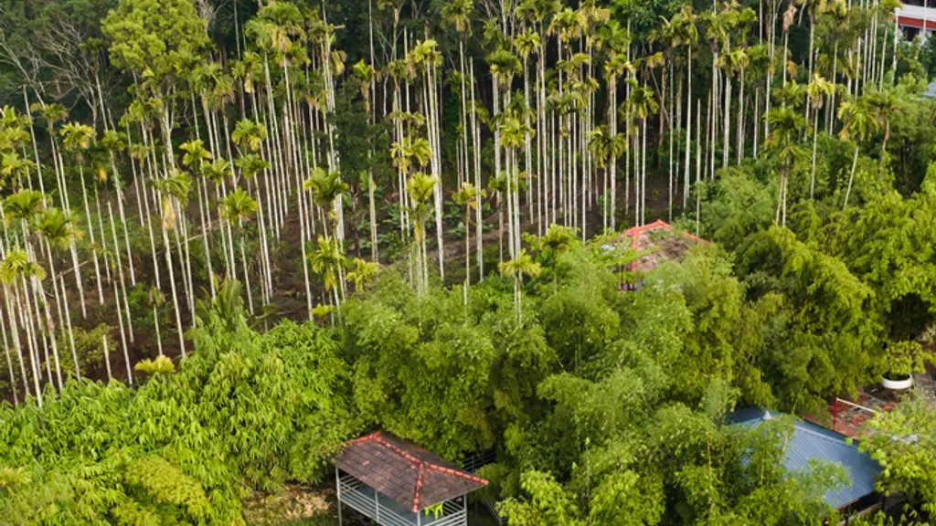Vadakkans Home