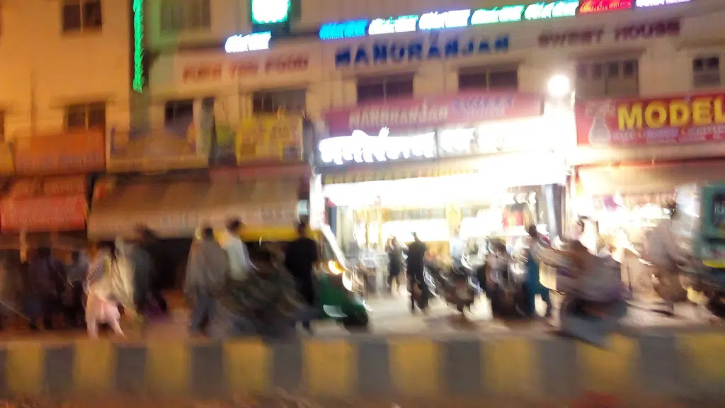 New Bajpai Hotel and Restaurant
