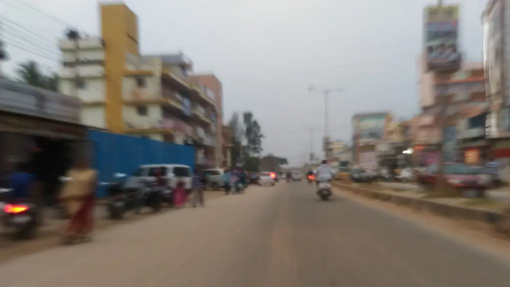 Rddy Restaurent Electronic City