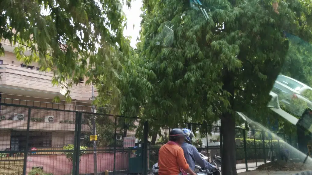 Dr Rohit Jain's Homeopathy South Delhi