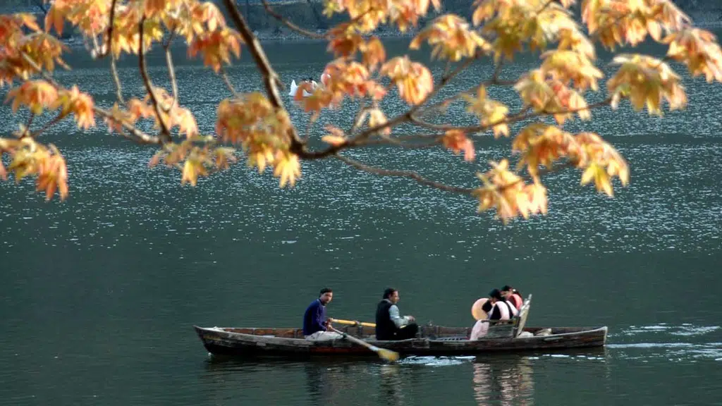 Ekam Lodge