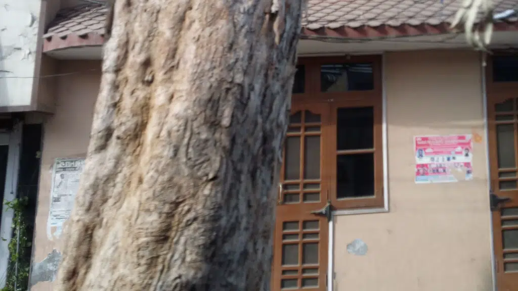 Lajpat Rai Sr.Sec.School Hoshiarpur