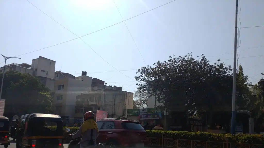 Vardhan Pure Veg