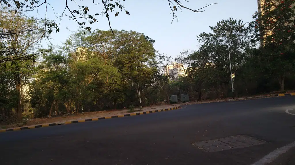 Mohana Lawn
