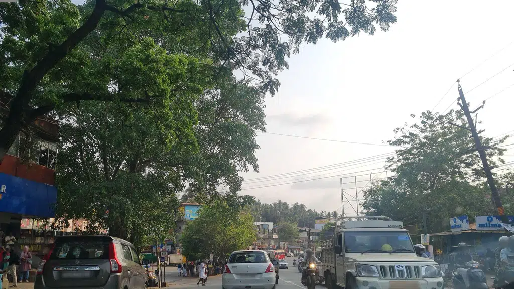 Kunnamangalam Co-Operative Rural Bank Ltd F-1246