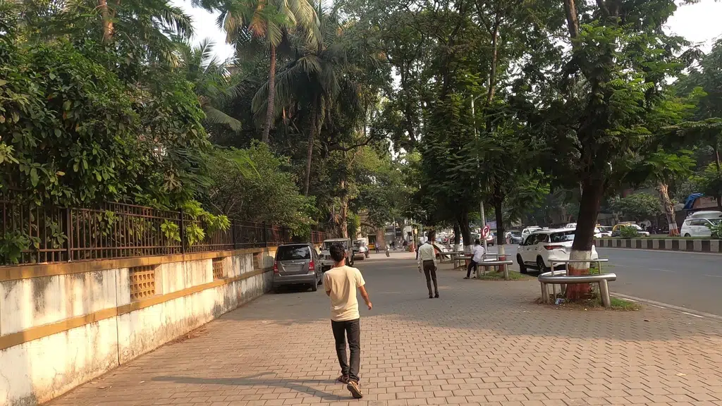 Placement Cell - St Xavier's College, Mumbai