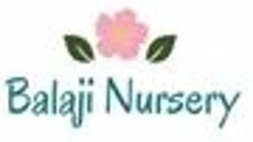 Balaji nursery