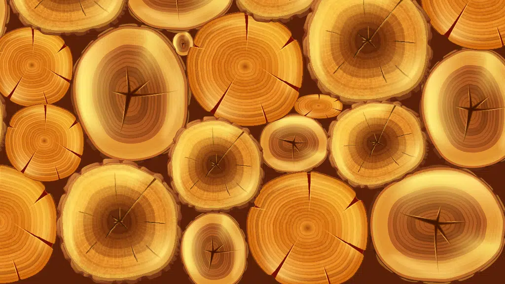 Cherikunnumal Timbers and Furnitures