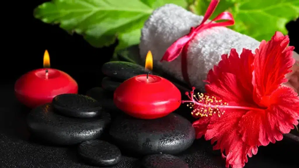 Green Wellness Spa