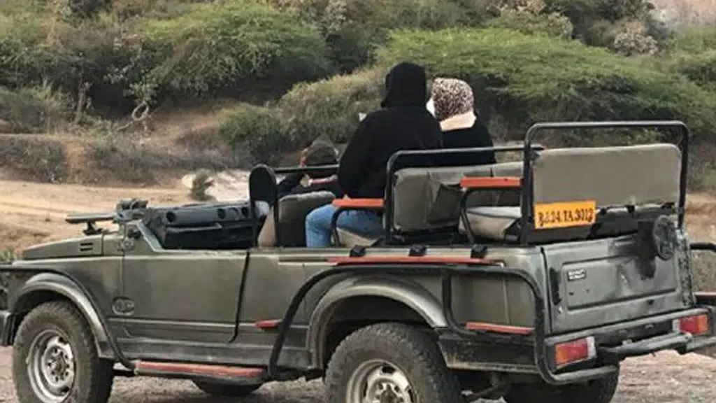 Jawai Leopard Safari