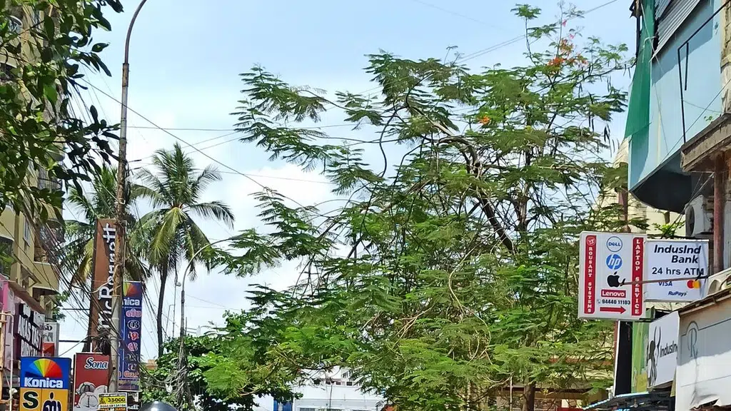 Vinayaga Enterprises