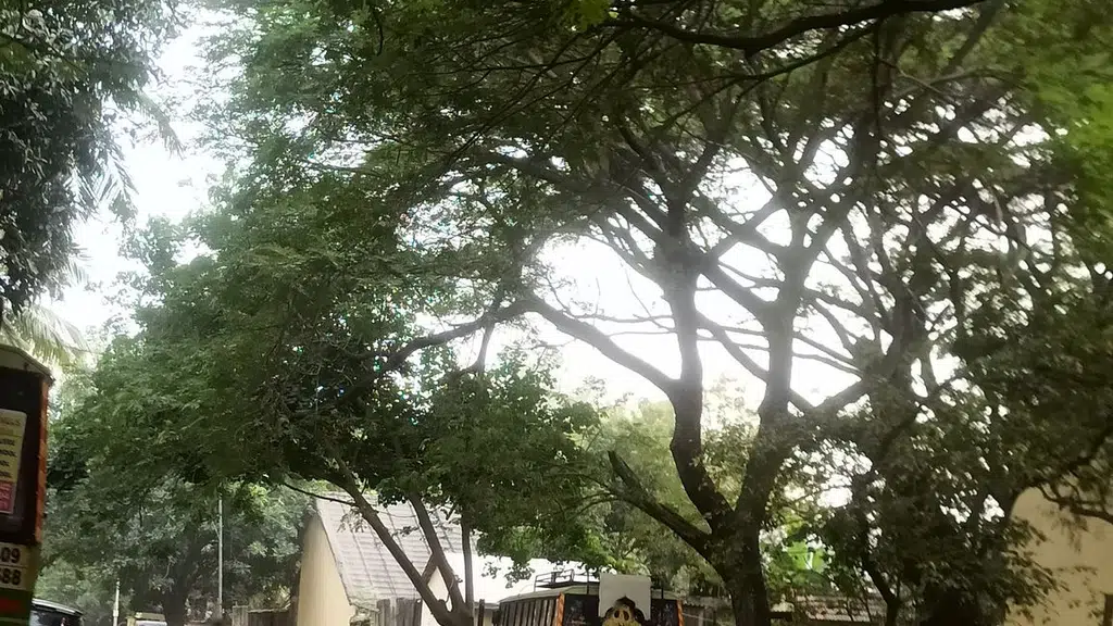 Vijaya Residency