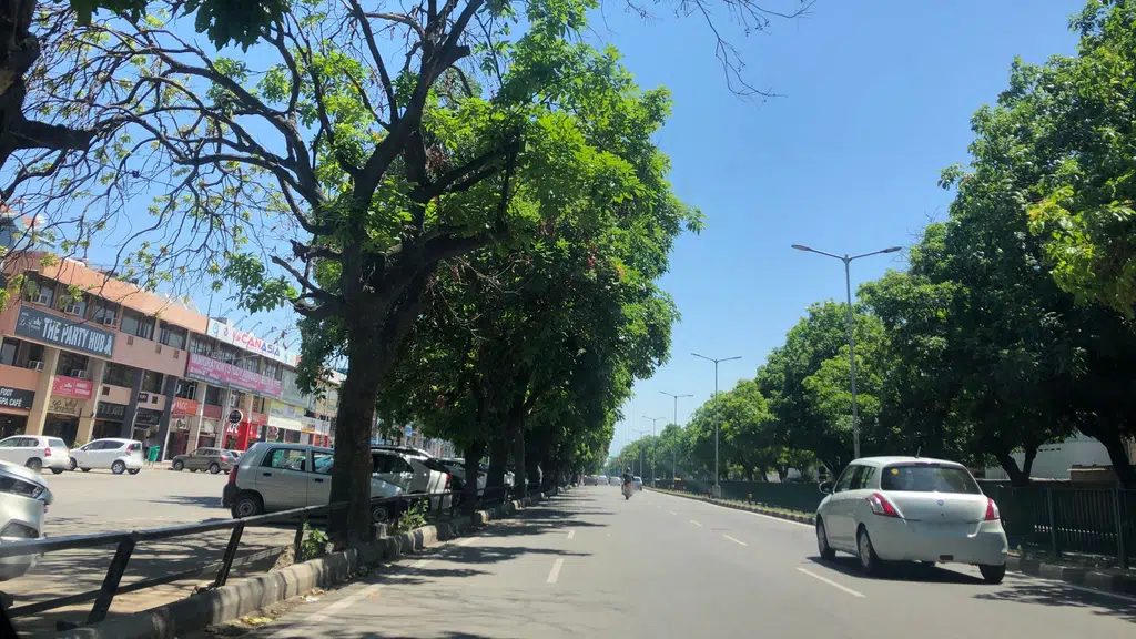 The English Counsel Chandigarh
